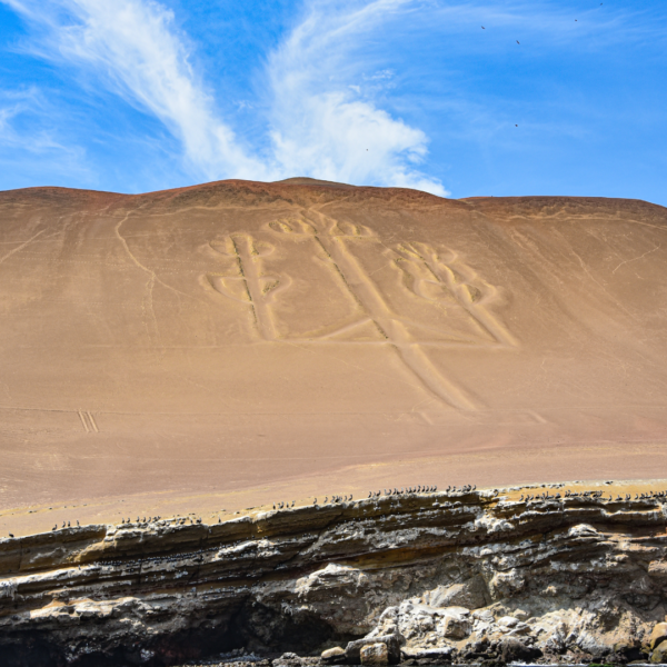 Descubre el desierto de Paracas - Image 2