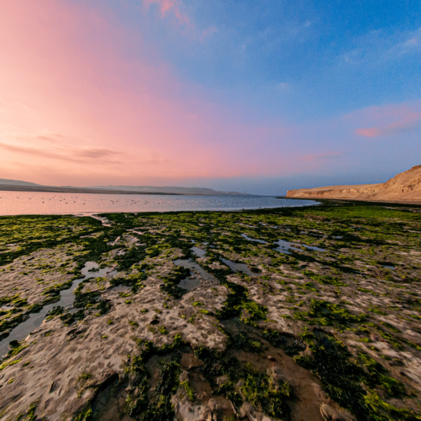 Descubre el desierto de Paracas - Image 3